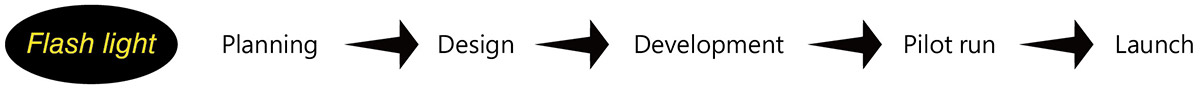 RD process Flashlight