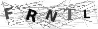 Please refresh your browser to see this image.